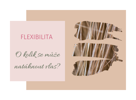 9. Flexibilita vlasu